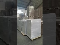 PEコーティング SBS C1S Fbb アイボリーボード 紙 折りたたみ紙 250g 270g 300g 350g